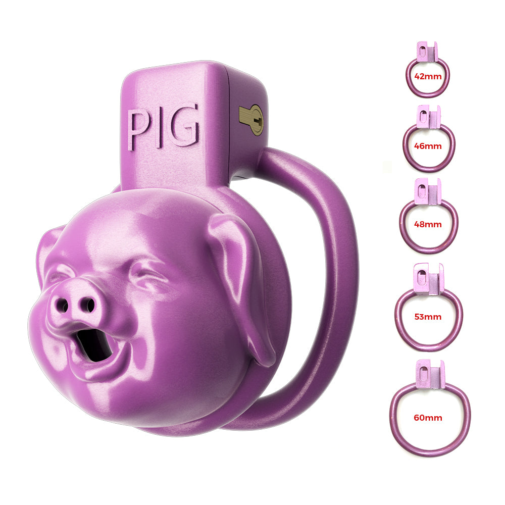 Purple Role Play PIG Slave Chastity Devices – GXLOCK Store