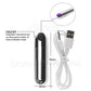 10 Speed Charging Vibrating Remote Control Strap on Panties