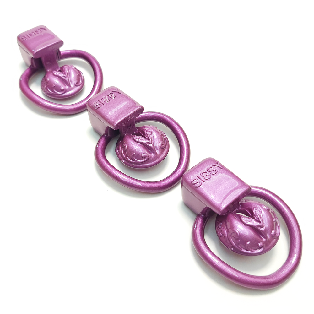 4Rings Purple CDTS Pussy Vaginal Small Chastity Cage