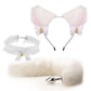 3/4pcs Cosplay Animal Ear Tail Fox Anal Plug