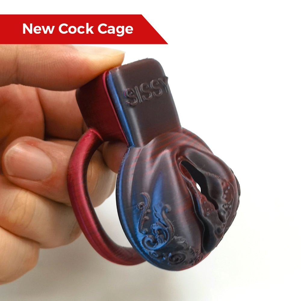 Reddish-Black Gradient Pussy Vaginal Cock Cage 5 Rings