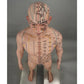 Acupuncture acupoint human meridian model Chinese medicine teaching high-definition lettering can apply acupuncture model