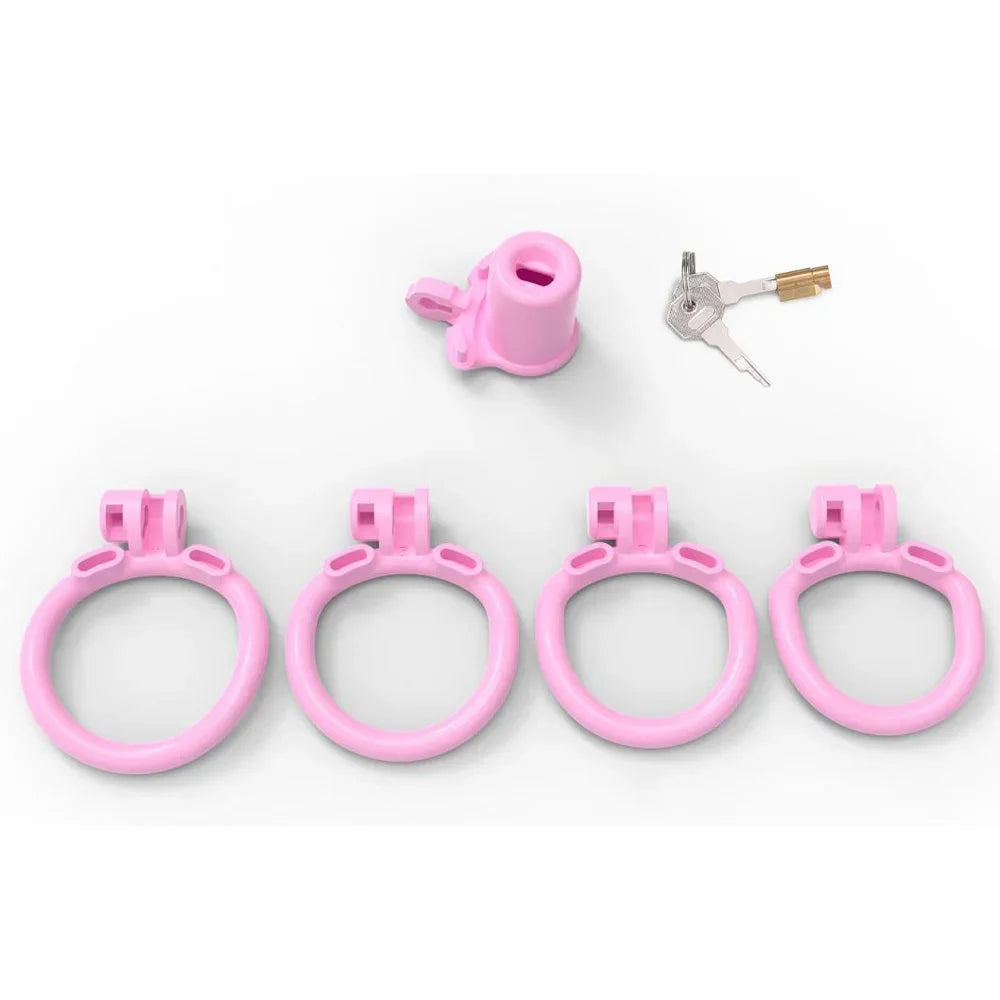 BDSM 2024 Pink Inverted Chastity Cage With 4 Size Cock ring For Man Brutal Adult Games Sissy Penis Ring Adult Erotic Sex Toys18+