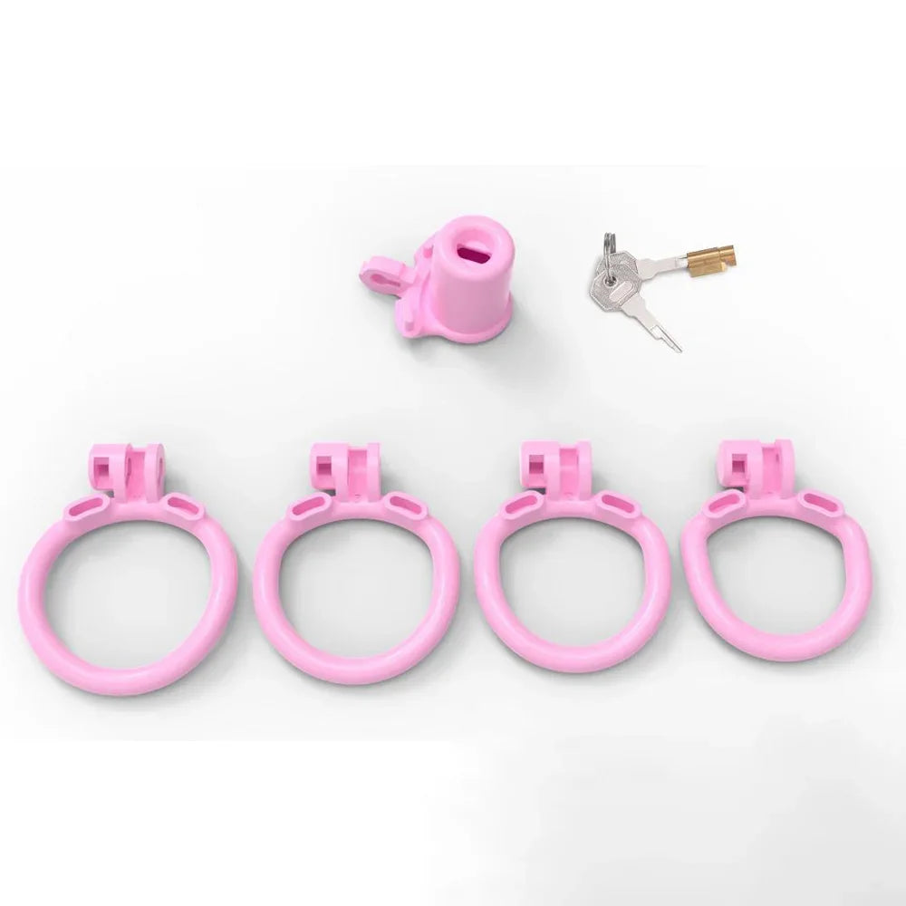 BDSM 2024 Pink Inverted Chastity Cage With 4 Size Cock ring For Man Brutal Adult Games Sissy Penis Ring Adult Erotic Sex Toys18+