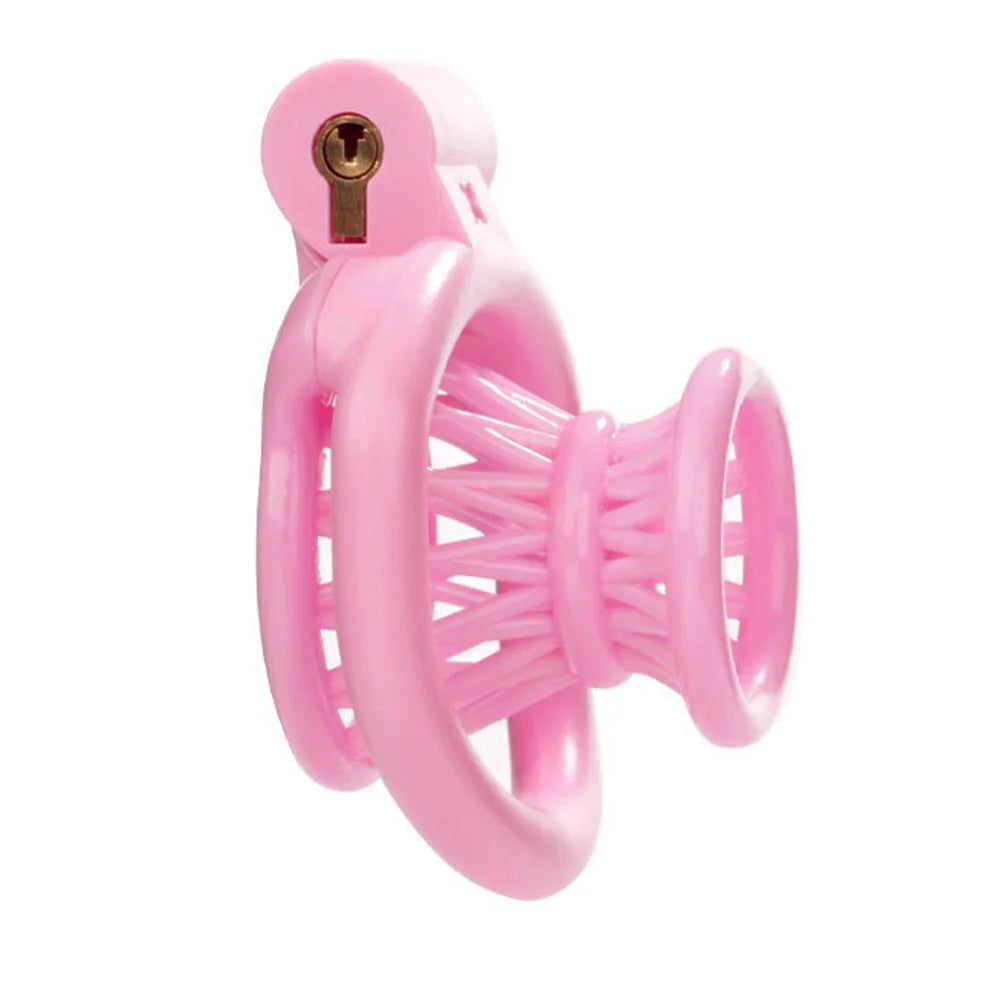 BDSM 2024 Pink Inverted Chastity Cage With 4 Size Cock ring For Man Brutal Adult Games Sissy Penis Ring Adult Erotic Sex Toy 18+