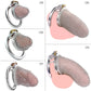 BDSM Shop정조대 Stainless Steel Chastity Cock Cage Adult Sex Toys for Male Pleasure Hollow Mesh Design Sissy Penis Lock Cock rings