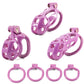 Bdsm Bondage Cobra Chastity Cage High Quality Male Penis Lock With 4Size Cock Ring Discreet Sissy Femboy Chastity Device Sex Toy