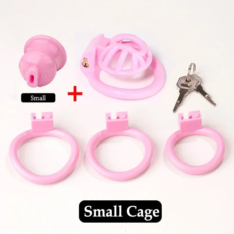 Bdsm Positive/Negative Urethral Chastity Cage Penis Lock with 4 Size Ring Sissy Inverted Urethral Plug Cock Cage Sextoys for Man