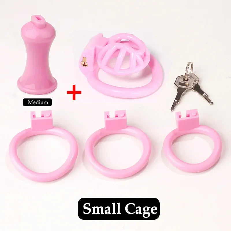 Bdsm Positive/Negative Urethral Chastity Cage Penis Lock with 4 Size Ring Sissy Inverted Urethral Plug Cock Cage Sextoys for Man