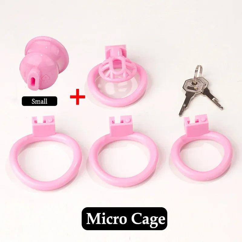 Bdsm Positive/Negative Urethral Chastity Cage Penis Lock with 4 Size Ring Sissy Inverted Urethral Plug Cock Cage Sextoys for Man