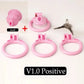 Bdsm Sissy Pink Chastity Device with Urethral Plug정조대Positive/Negative with 4 Sizes Cock Ring Mini Cock Cage Sex Toy for Men Gay