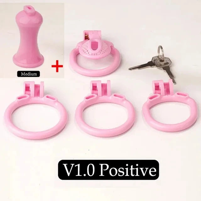 Bdsm Sissy Pink Chastity Device with Urethral Plug정조대Positive/Negative with 4 Sizes Cock Ring Mini Cock Cage Sex Toy for Men Gay