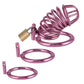 CB Purple Chastity Cage Male Binding Tool Cock Cage Sex Toys for Adult Penis Ring Lock Wearable Chastity Cage for Outdoor