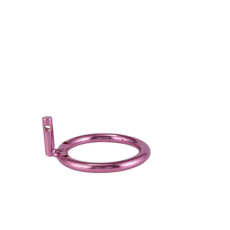 CB Purple Chastity Cage Male Binding Tool Cock Cage Sex Toys for Adult Penis Ring Lock Wearable Chastity Cage for Outdoor