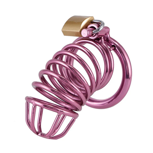 CB Purple Chastity Cage Male Binding Tool Cock Cage Sex Toys for Adult Penis Ring Lock Wearable Chastity Cage for Outdoor