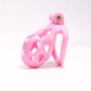 Colorful Cobra Chastity Cage Penis Lock정조대Male Abs Cock Cage With 4 Rings Devices Discreet Men Adult Goods Sex Toys For Man 18+