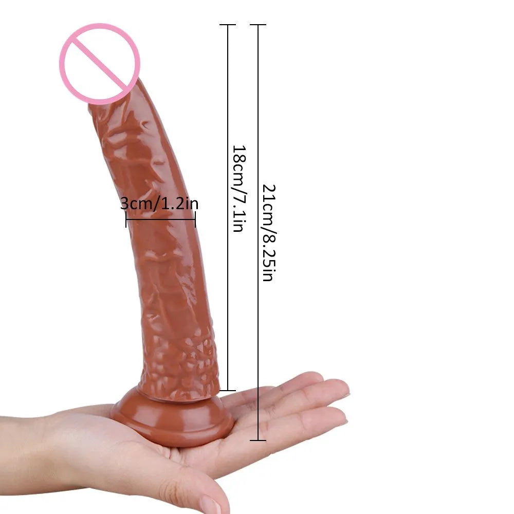 Erotic Soft Jelly Dildos Anal Butt Plug – GXLOCK Store