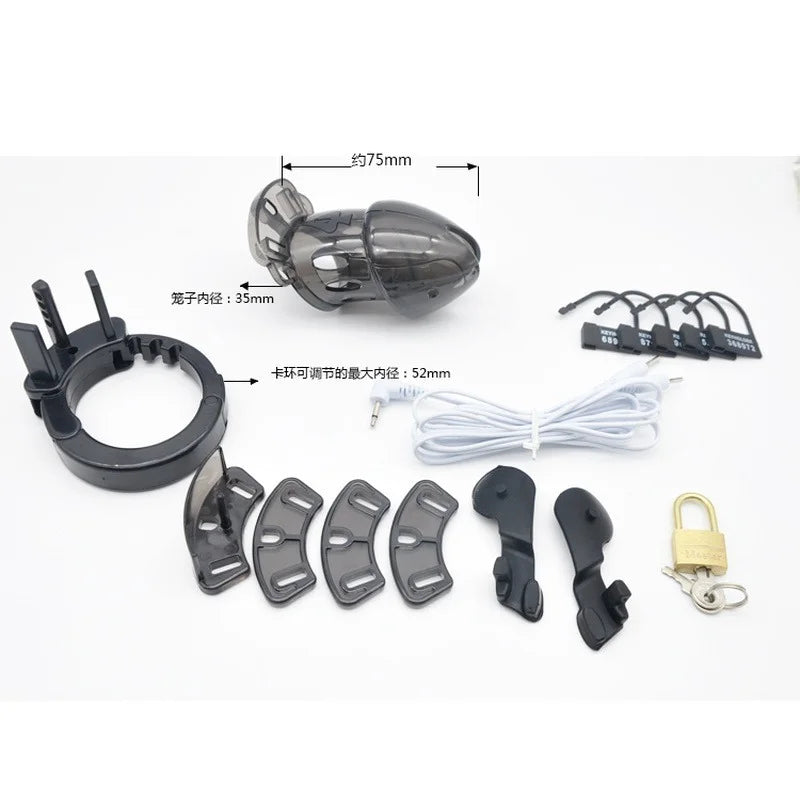 Electric Shock Chastity Cock Cage Locking Male Cock Ring Lockable Penis Bondage Sleeve Ring Chastity Device for Men CB6000