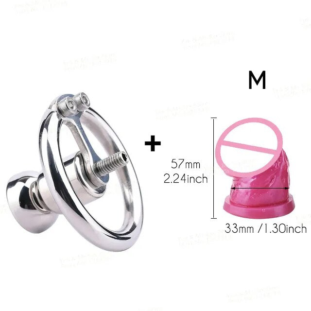 FRRK Negative Chastity Lock with Small Dildo for Men New Creative Combination Cock Cage Stainless Steel Penis Rings BDSM Sex Toy