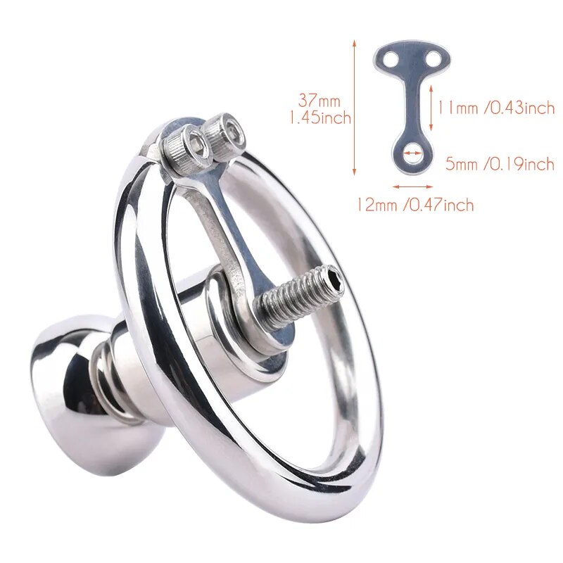 FRRK Negative Chastity Lock with Small Dildo for Men New Creative Combination Cock Cage Stainless Steel Penis Rings BDSM Sex Toy