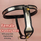 Female Stainless Steel Chastity Belt with Lock Metal Bondage Underwear Poop Hole 4/5 Beads Anal Plug Adult Sex Toys for Women