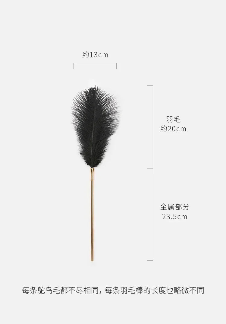 Flirt Whip Bird Feather Flogger Sex Toy Products Bondage Slave Clitoris Erotic for Couples Women Adult Games