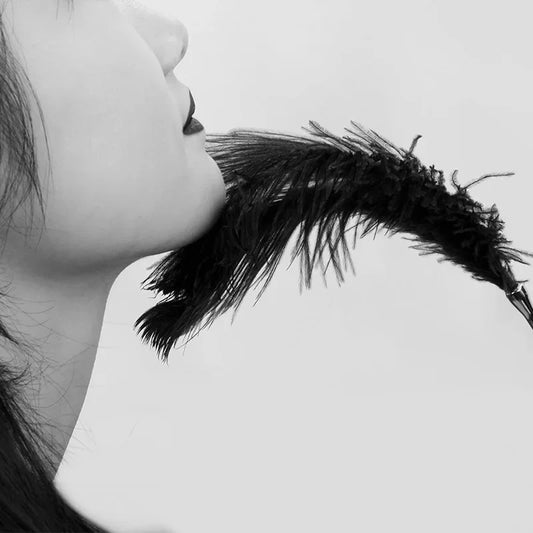 Flirt Whip Bird Feather Flogger Sex Toy Products Bondage Slave Clitoris Erotic for Couples Women Adult Games