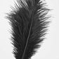 Flirt Whip Bird Feather Flogger Sex Toy Products Bondage Slave Clitoris Erotic for Couples Women Adult Games