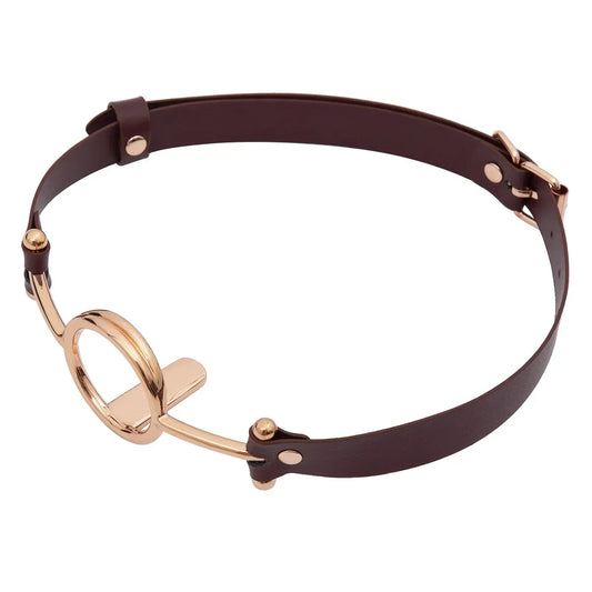 Leather Open Mouth Oral Gag Harness Ball Bite Metal Fetish Bondage Restraint Gold Rose Silver Sex Toy Slave Couple Game