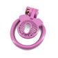 Male ABS Chastity Cage Flat Breathable Lock Porous Bdsm Lock Male Chastity Device with 4 Penis Rings Cock Cage Adult Sex Toys18+