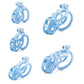 Male Chastity Device 정조대 Cobra Cock Cage With 4 Penis Cock Ring Sleeve Lock Penis Cage Bondage Fetish Sex Toys For Men Cockring