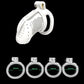 Male Lightweight Small Chastity Cage Device 4 Cock Rings Set Mini Penis Cage Ball Lock Bondage Trainer Belt Slave Sex Toy Man