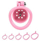 Male Penis Chastity Cage Set Small Bird Chastity Cage Belt With 5 Size Padlock Cock Ring Penis Lock Bondage Slave Man Sex Toy