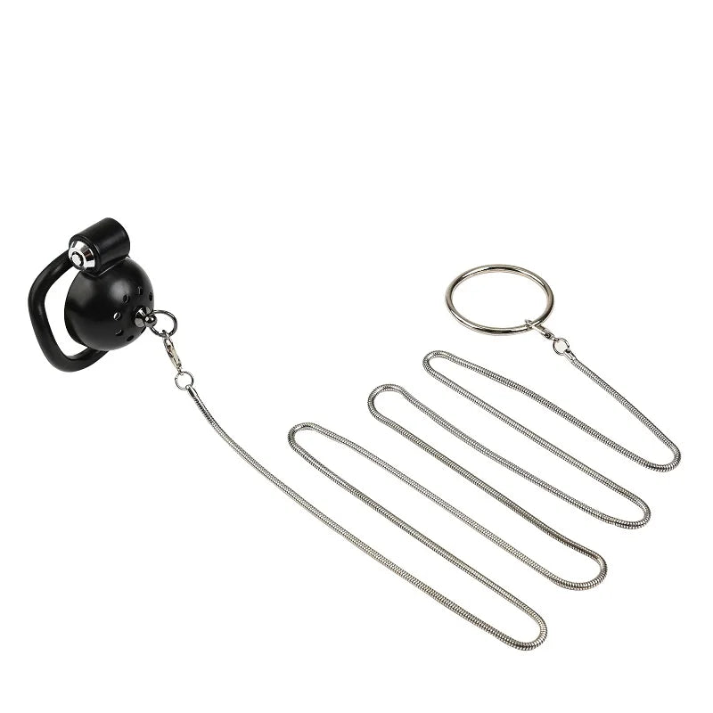 Male Penis Chastity Cage Set Small Bird Chastity Cage Belt With 5 Size Padlock Cock Ring Penis Lock Bondage Slave Man Sex Toy