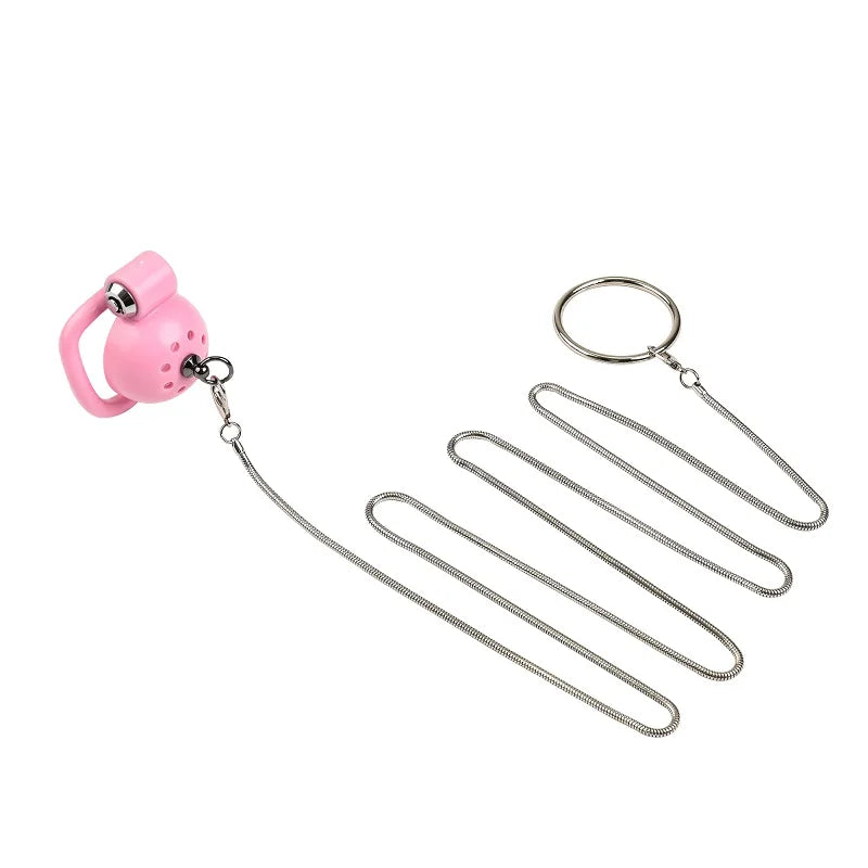 Male Penis Chastity Cage Set Small Bird Chastity Cage Belt With 5 Size Padlock Cock Ring Penis Lock Bondage Slave Man Sex Toy