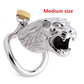 Male stainless steel long Chastity cage set metal cock ring ball stretcher penis lock bondage restraint sex toy man