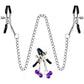 Metal Adjustable Metal Nipple Clamps Entertainment Clip for Women Nipplerings Clip Rings Decorative Clip Adult Games Sex Toys