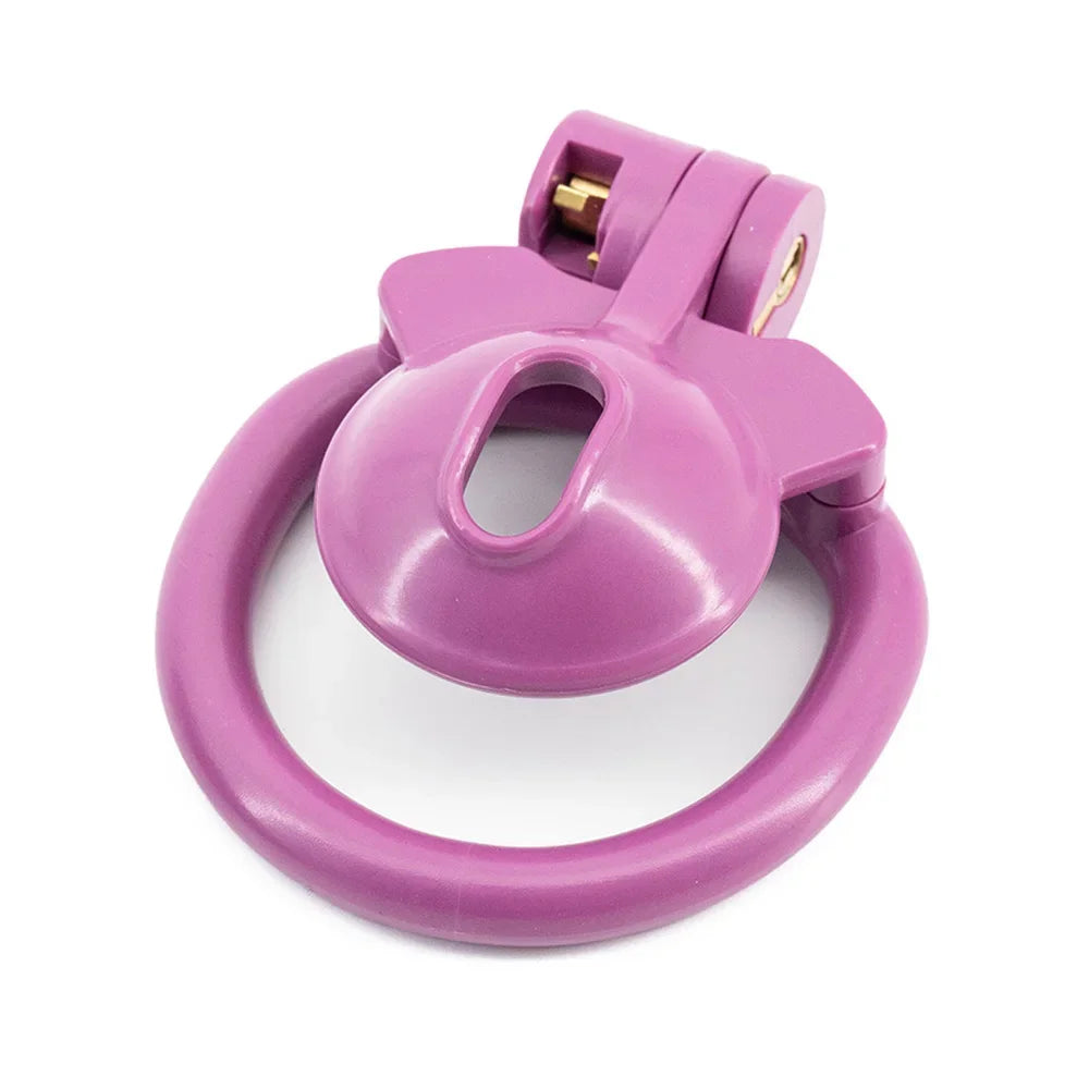 New Flat Chastity Cage Sissy정조대Penis Lock with 4 Size Cock Rings SM Sissy Chastity Device Male Bondage Belt Sex Toys for Men Gay