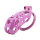 New High Quality Pink ABS Male Chastity Cages Penis Abstinence Anti-Cheating Cock Cage with 4 Sizes Rings Male Sex Toys 18+ 정조대