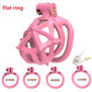Pink Male Penis Chastity Cage Set Mini Small Bird Chastity Cage With 4 Size Cock Ring Penis Lock Bondage Slave Man Sex Toy