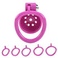 Pink Male Penis Chastity Cage Set Small Bird Chastity Cage Belt With Padlock 5 Cock Ring Penis Bondage Slave Man Sex Toy