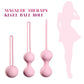 Set Safe Silicone Smart Ball Kegel Ball Ben Wa Ball Vagina Tighten Exercise Machine Vaginal Geisha  Sex Toys for Women