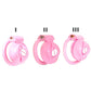 Sissy Chastity Devices정조대Male BDSM Small Cock Cage with 4 Sizes Bondage Ring콕링Slave Penis Lock Sex Shop18+ Gay Ladyboy Sex Toys