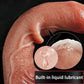Skin Feeling Realistic Dildo Simulation Penis Sliding Foreskin  Big Dick G Spot Stimulate Strap on Dildo Sex Toys for Adults 18+