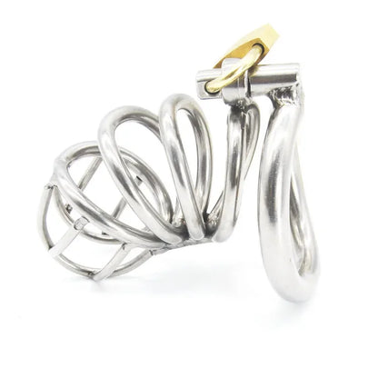 Stainless Steel Male Chastity Device Adult Cock Cage with Arc-shaped Cock Lock Ring BDSM Sex Toy Bondage Men Chastity Belt A224