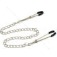 Stainless Steel Metal Chain Nipple Milk Clips Breast Clip Sex Slaves Fetish Nipple Clamps Sex Toys Butterfly Style For Couples