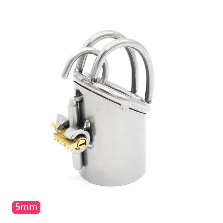 Stainless Steel PA Puncture Male Chastity Device Cock Cage With Stealth Lock Cock Rings Bondage Sex Toys For Man BDSM