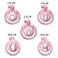 Super Micro Penis Lock Cock Cage Sissy Male Chastity Device with 5 Size Rings Sex Pancake 정조대 Sexy Toys for Men Castidade Sissy