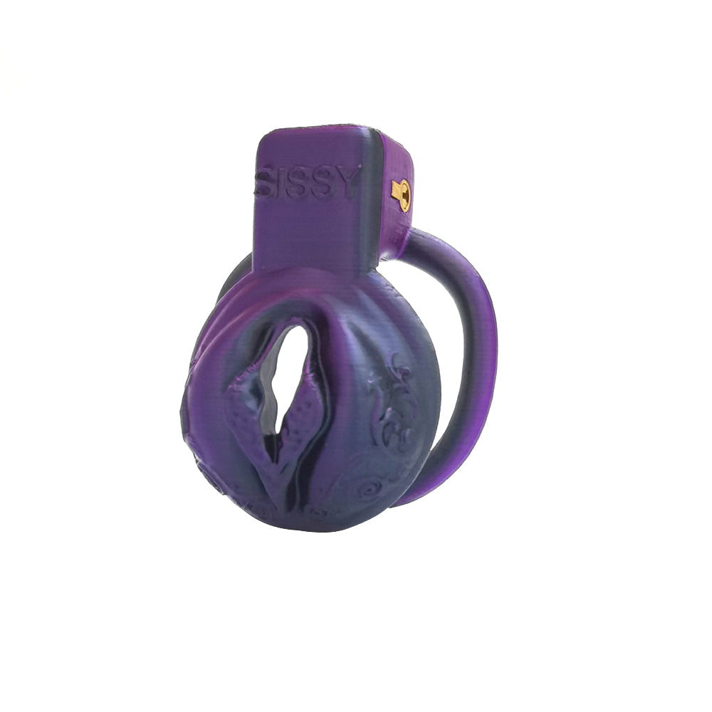 Change Color Purple Black Pussy Vaginal Chastity Cage 5 Rings