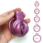 BDSM Pussy Vaginal Chastity Devices Cage